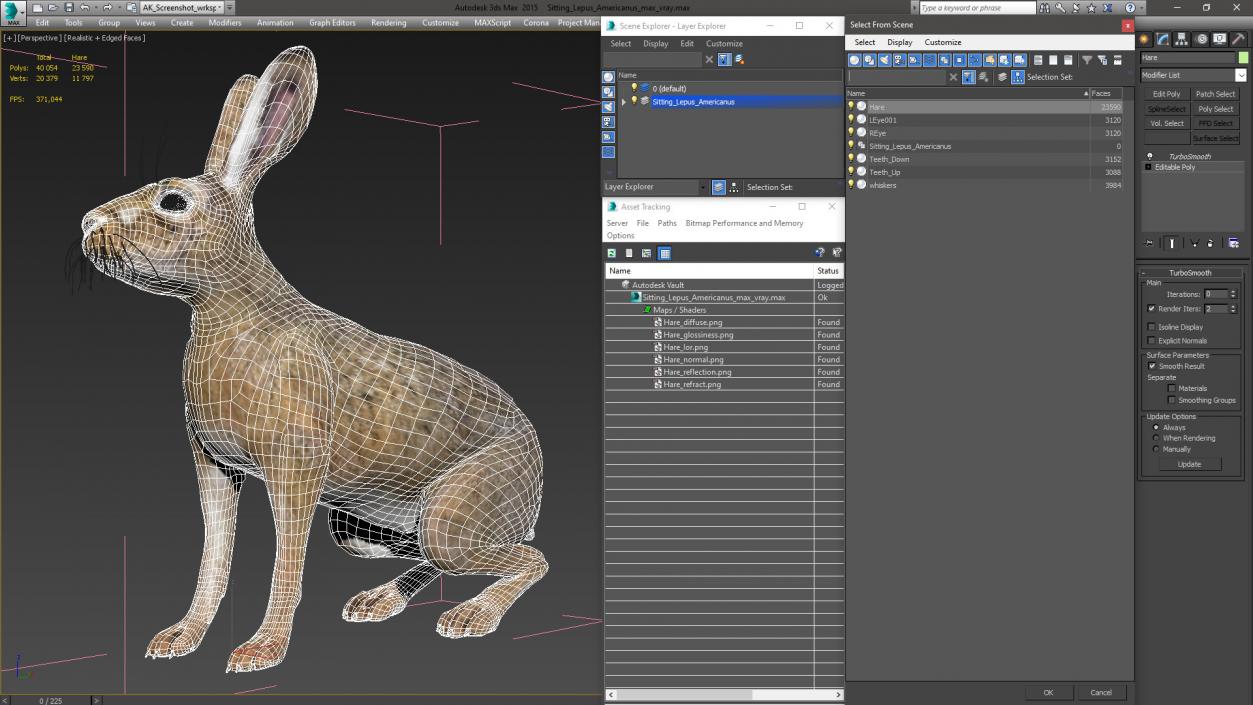 Sitting Lepus Americanus 3D model