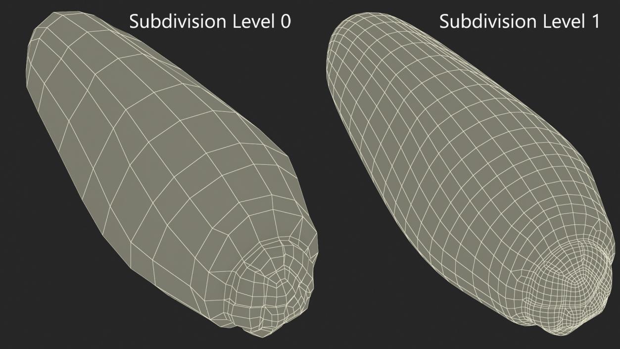 3D model Human Head Louse Egg