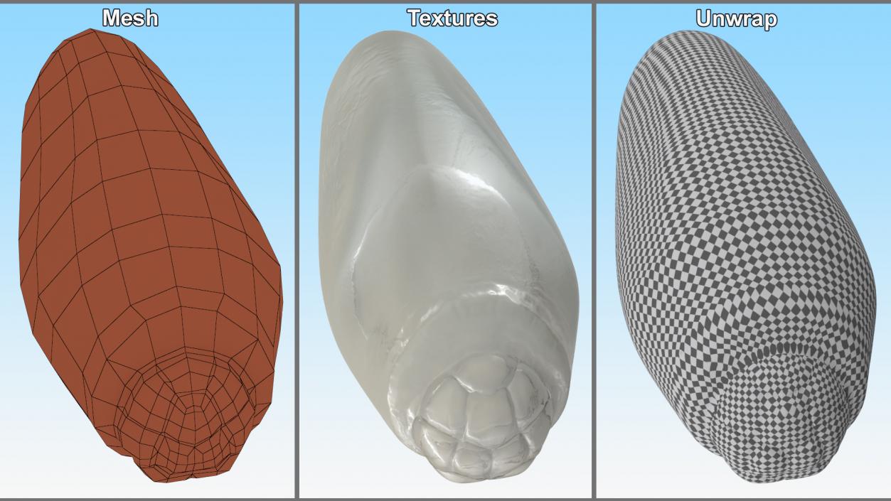 3D model Human Head Louse Egg