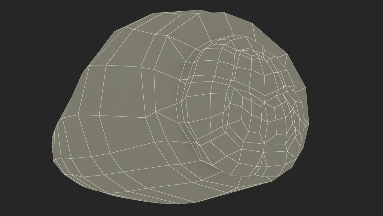 3D model Human Head Louse Egg