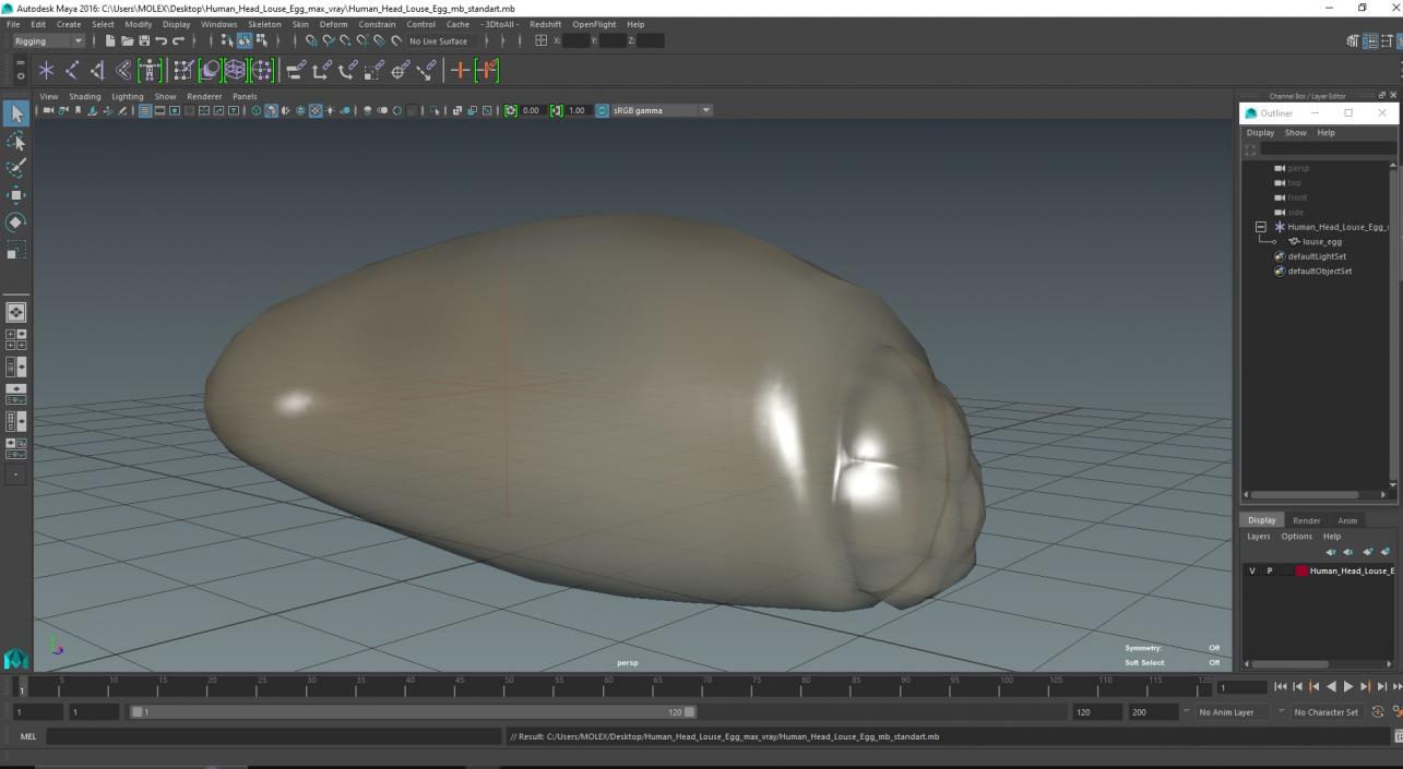 3D model Human Head Louse Egg