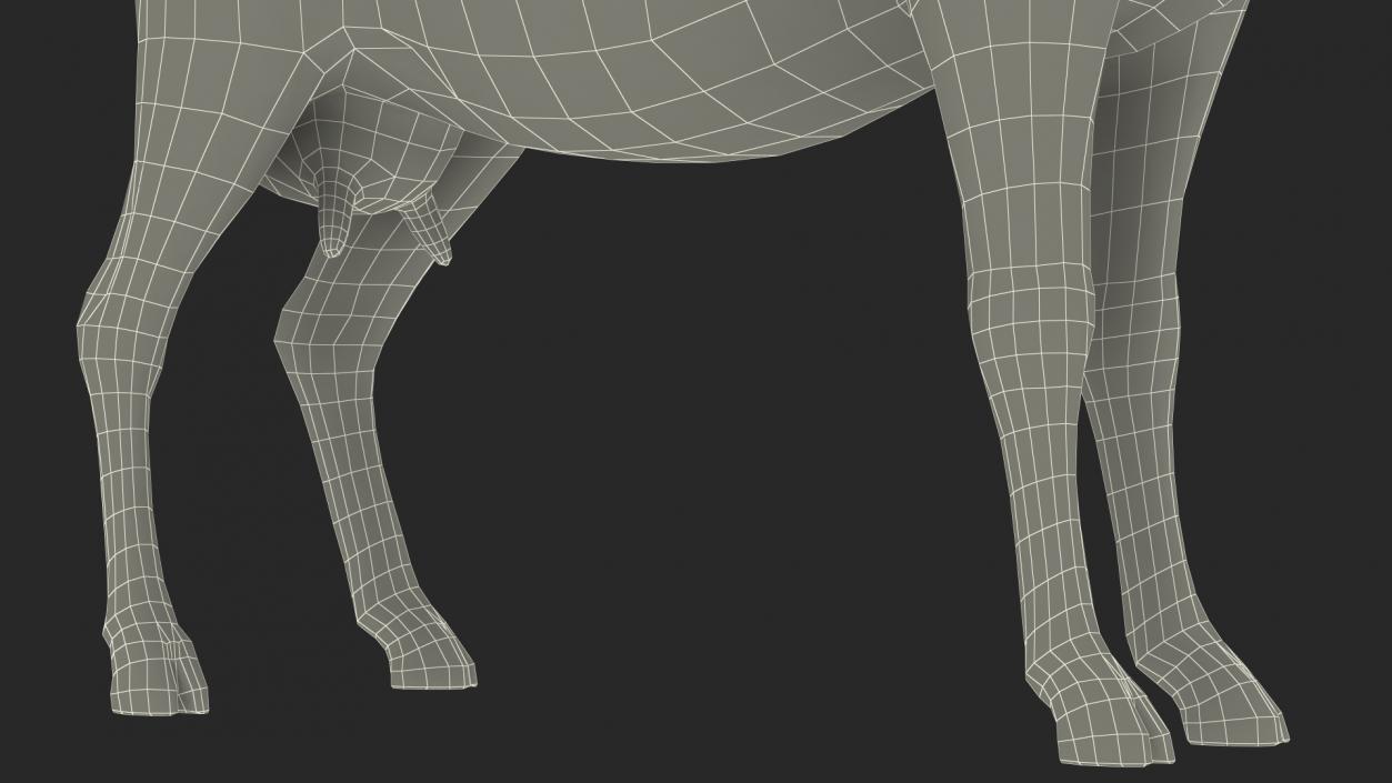 3D model Domestic Goat Rigged