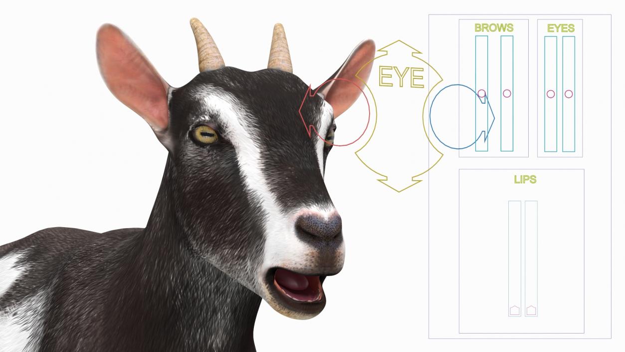 3D model Domestic Goat Rigged