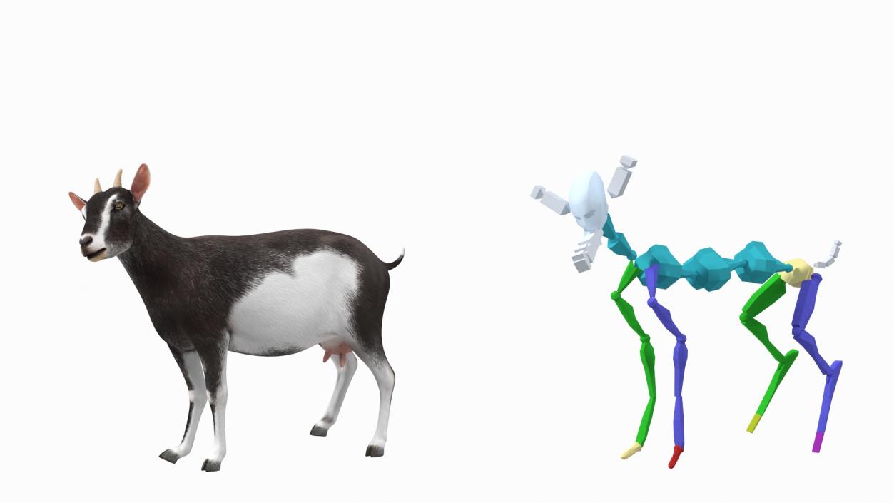 3D model Domestic Goat Rigged