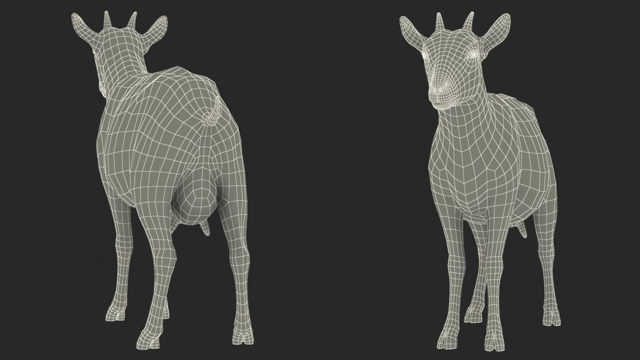 3D model Domestic Goat Rigged