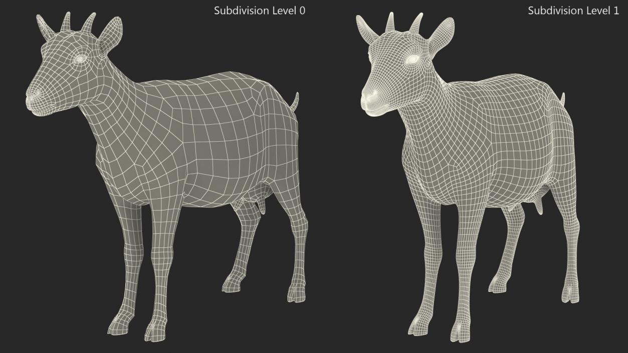 3D model Domestic Goat Rigged