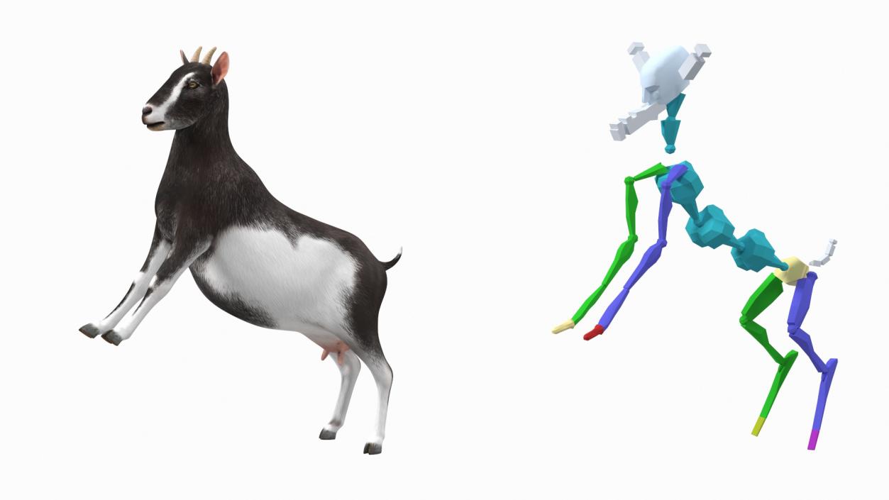 3D model Domestic Goat Rigged