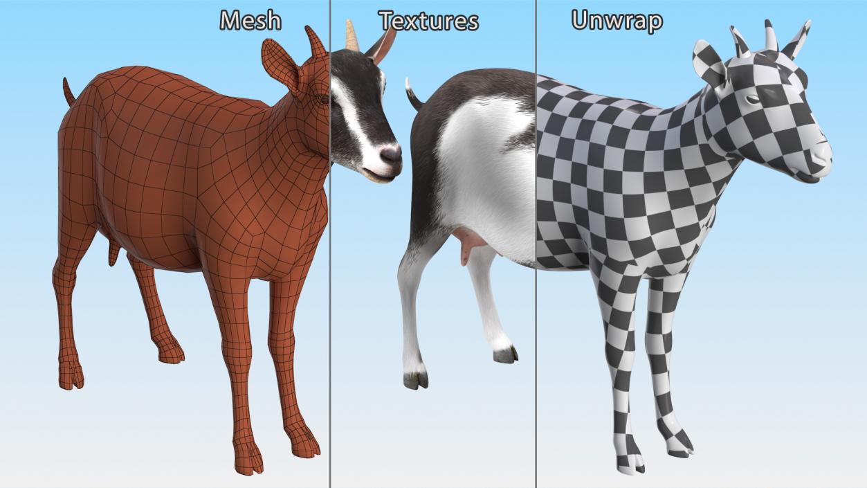 3D model Domestic Goat Rigged