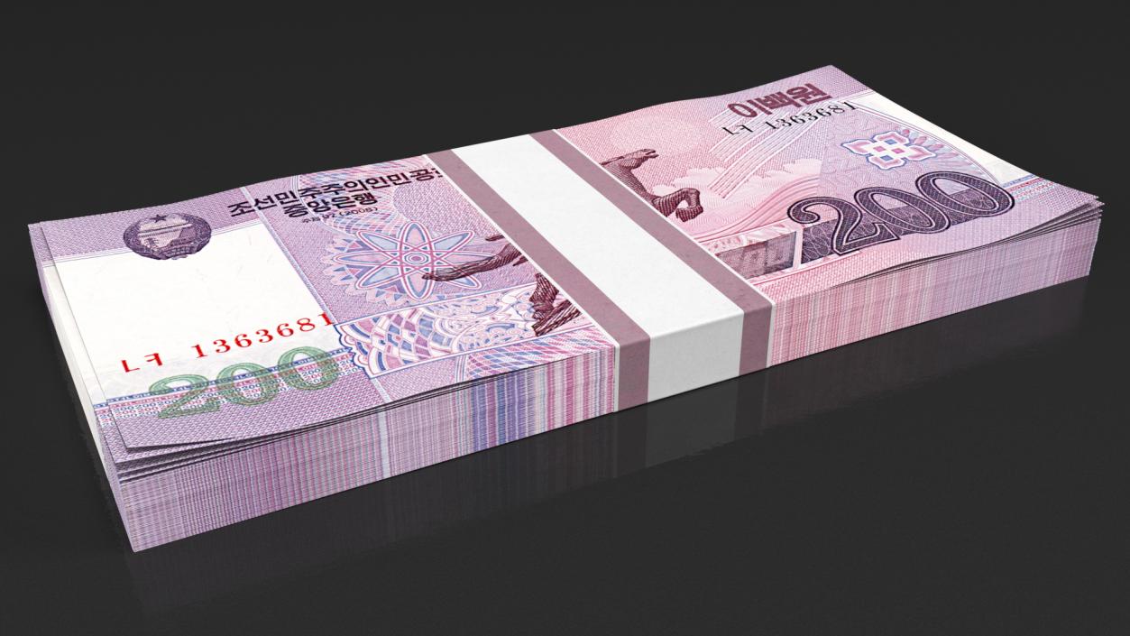 North Korea Banknotes Bundles Collection 2 3D