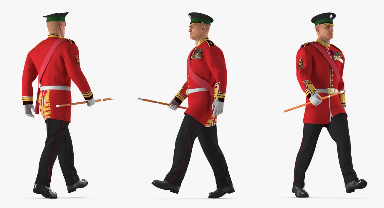 Irish Guard Sergeant Rigged 3D