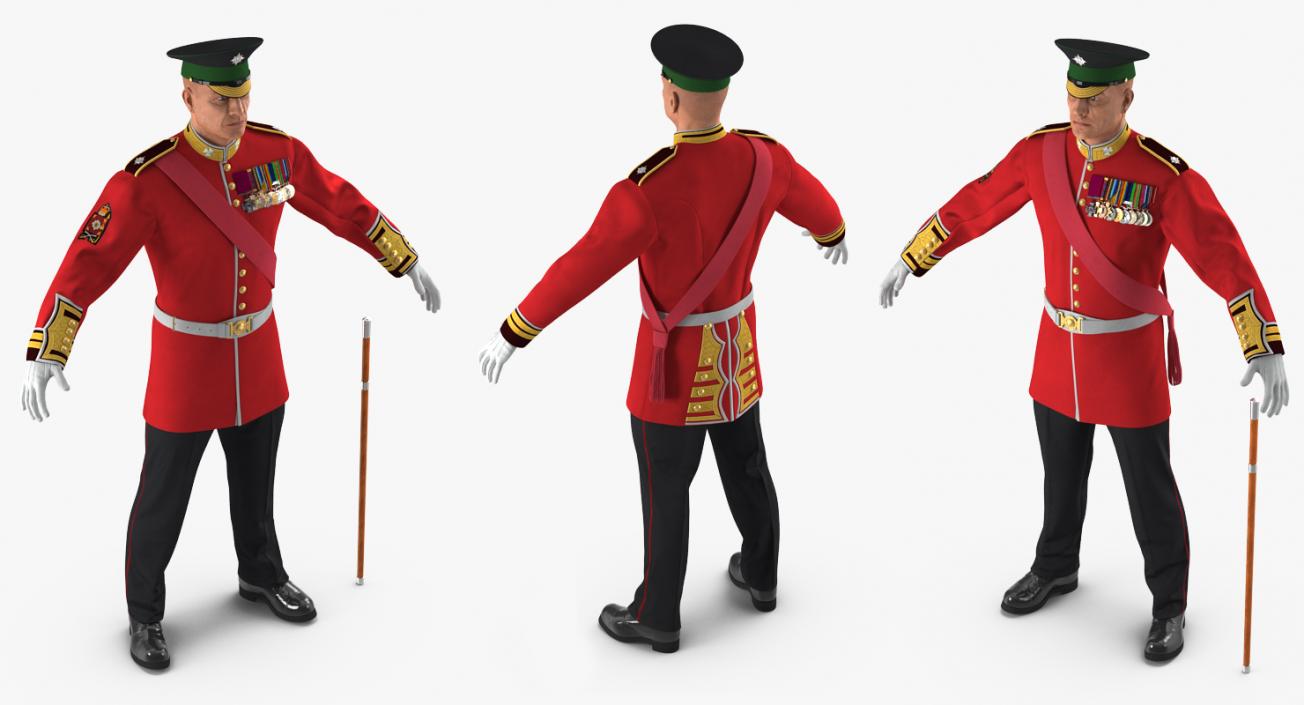 Irish Guard Sergeant Rigged 3D