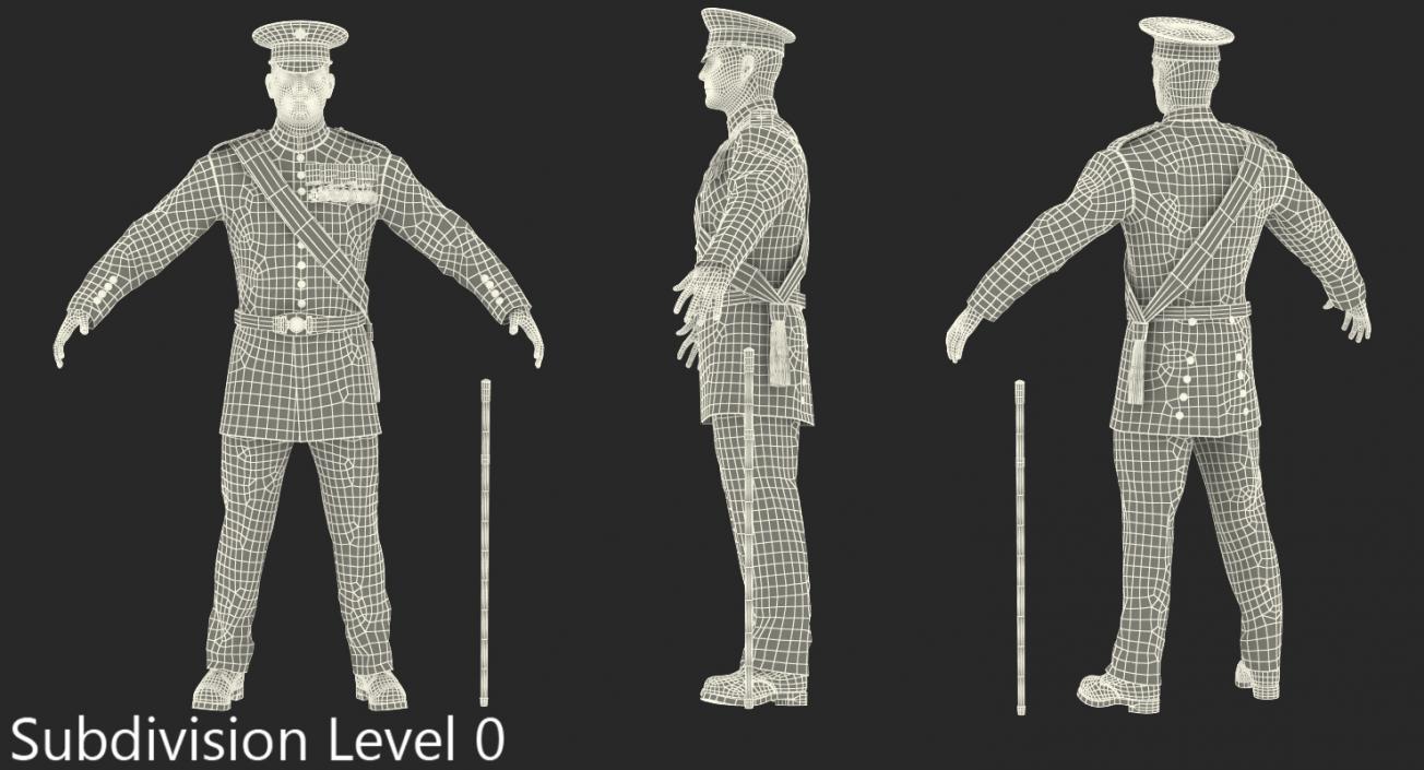 Irish Guard Sergeant Rigged 3D