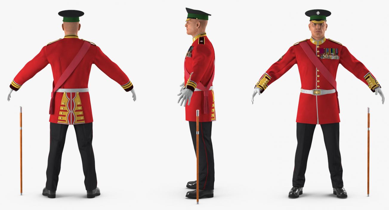 Irish Guard Sergeant Rigged 3D