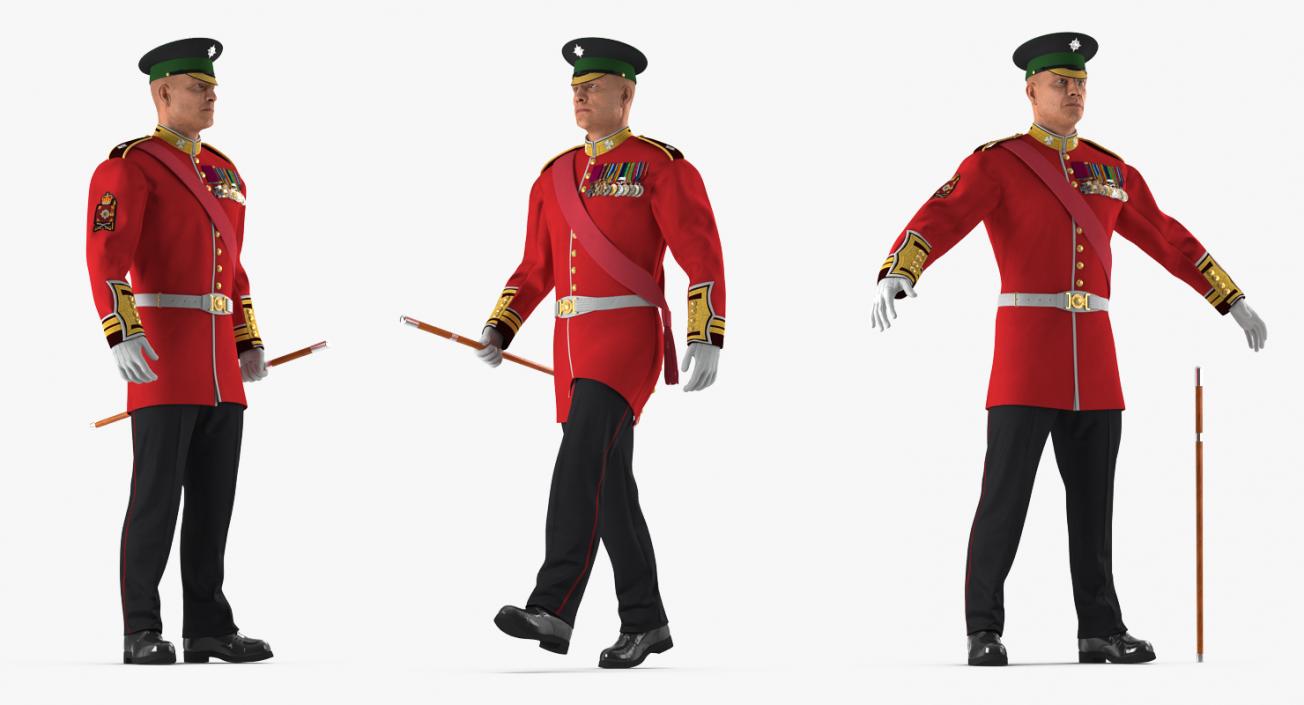 Irish Guard Sergeant Rigged 3D