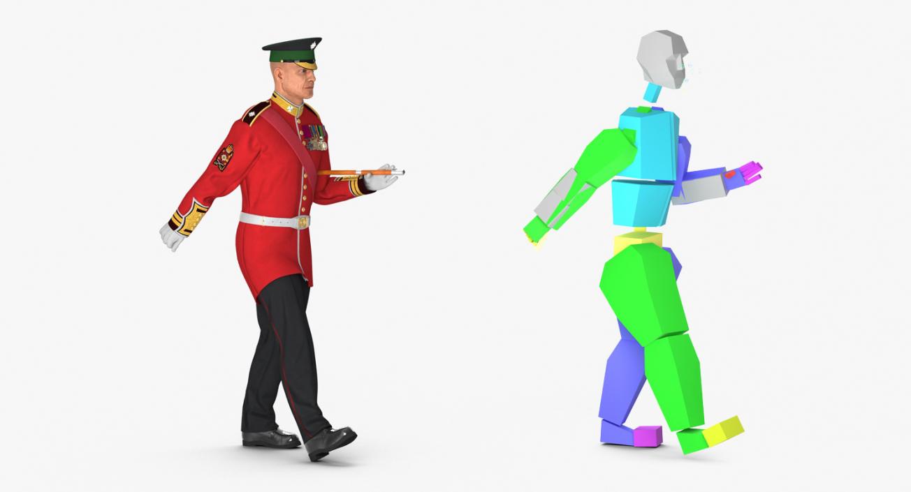 Irish Guard Sergeant Rigged 3D