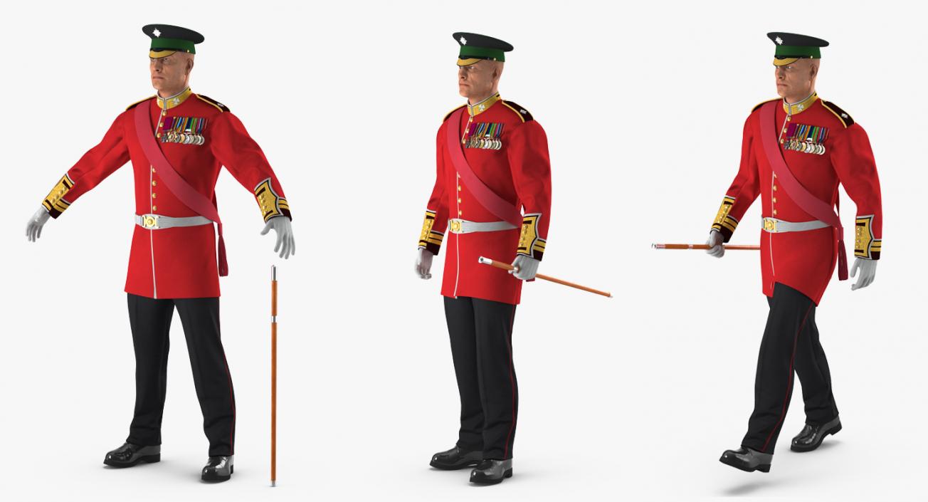 Irish Guard Sergeant Rigged 3D