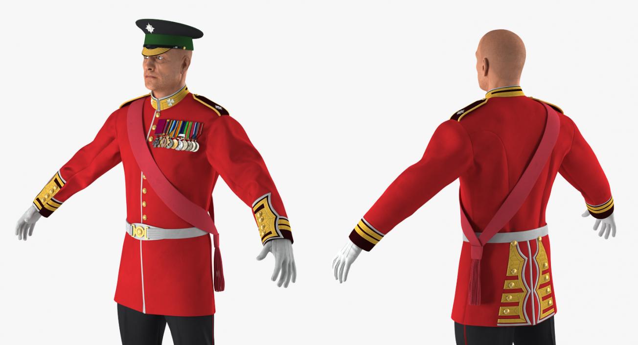 Irish Guard Sergeant Rigged 3D