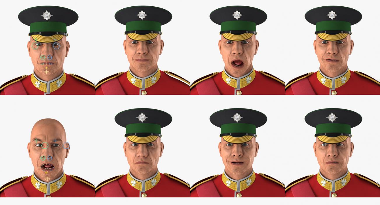 Irish Guard Sergeant Rigged 3D