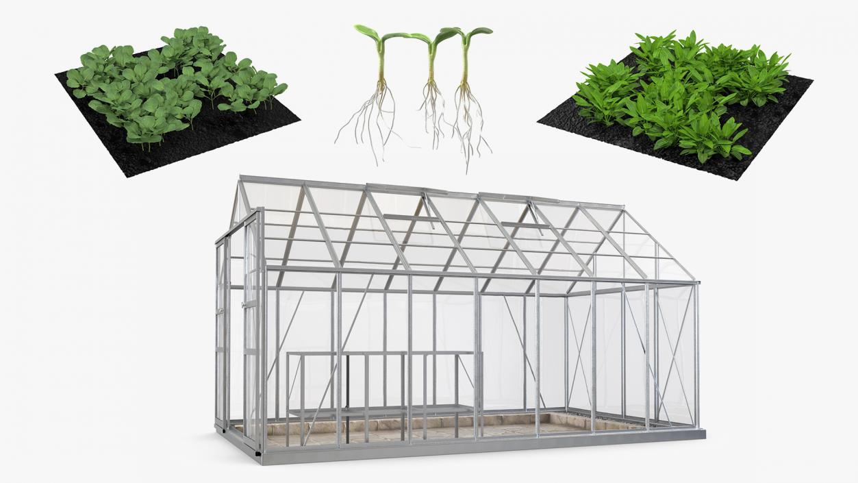 Garden Greenhouse with Grows Collection 3D model