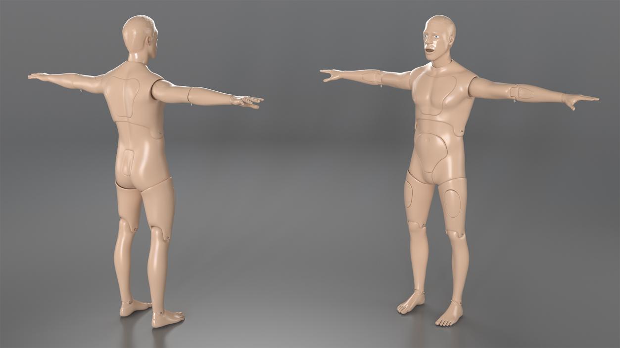 3D First Aid Training Manikin T-Pose model