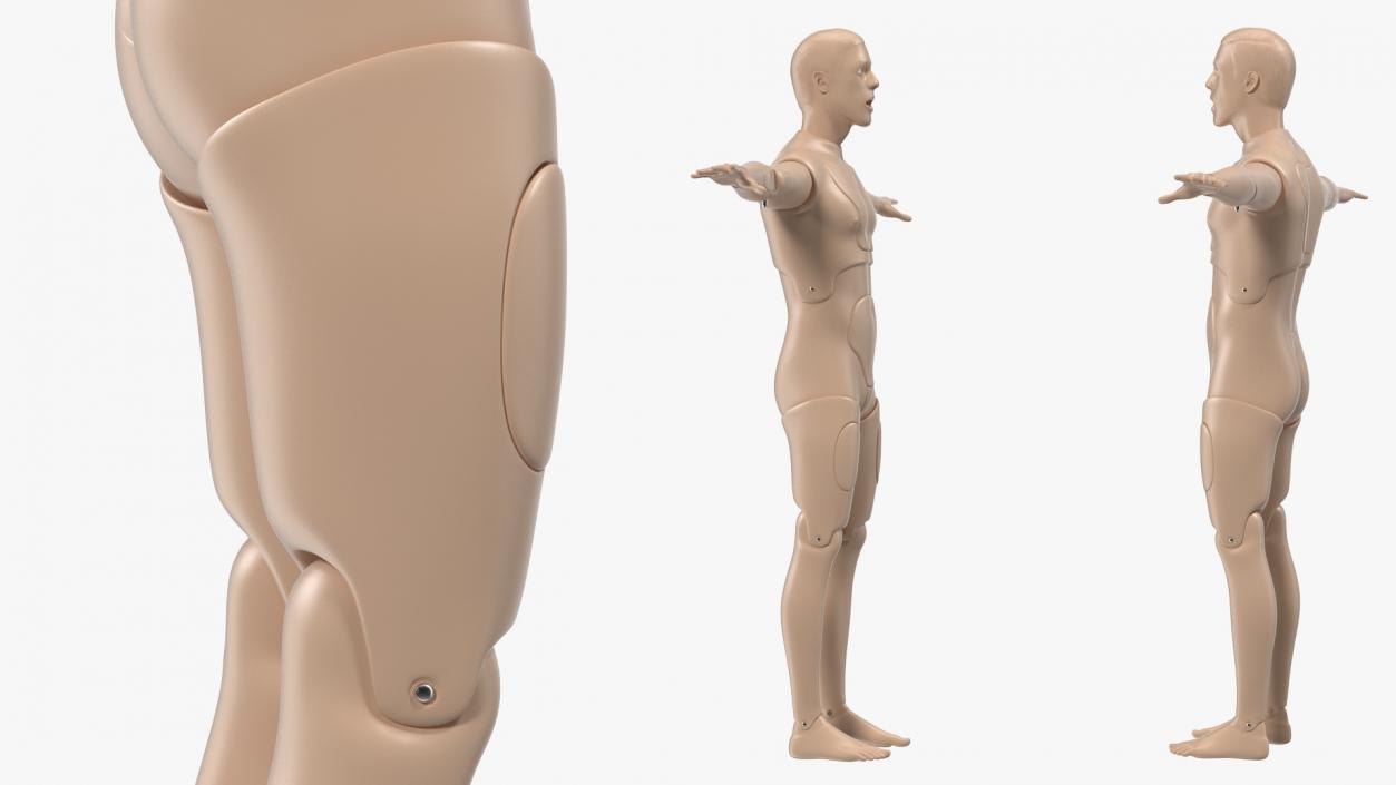 3D First Aid Training Manikin T-Pose model