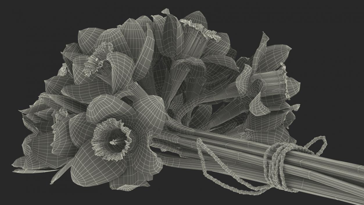 Daffodils Bouquet 3D