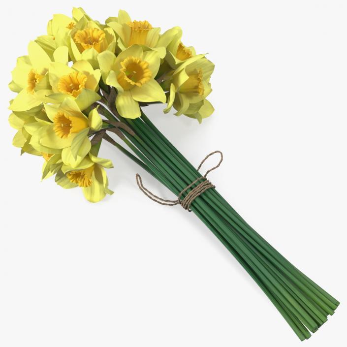 Daffodils Bouquet 3D