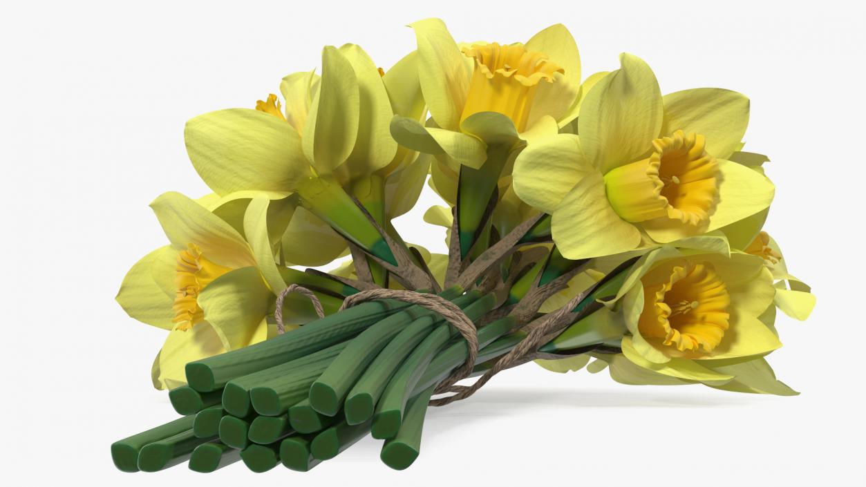 Daffodils Bouquet 3D