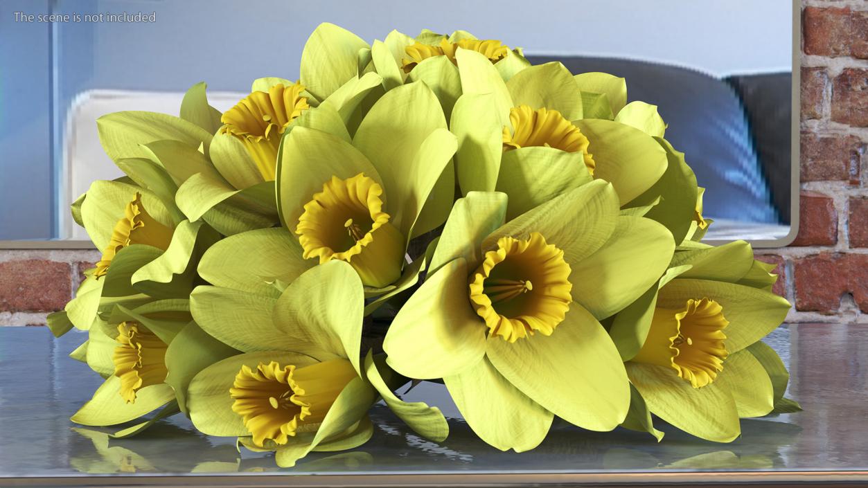 Daffodils Bouquet 3D