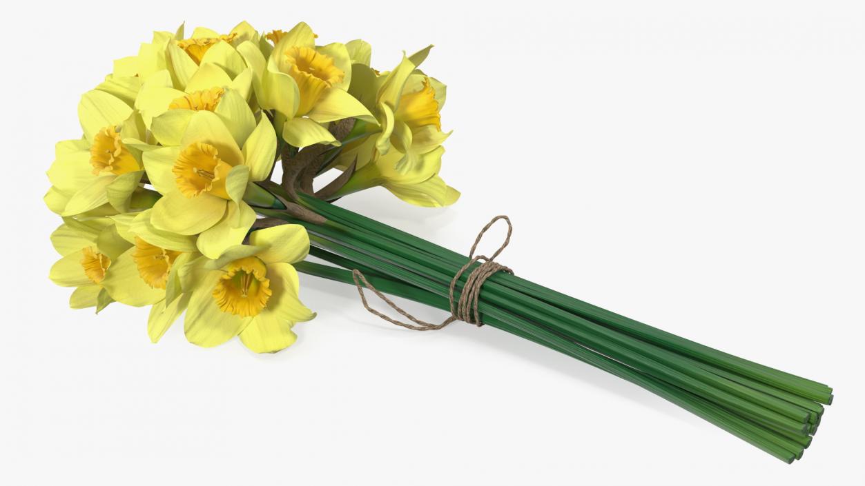 Daffodils Bouquet 3D