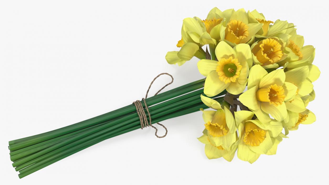 Daffodils Bouquet 3D