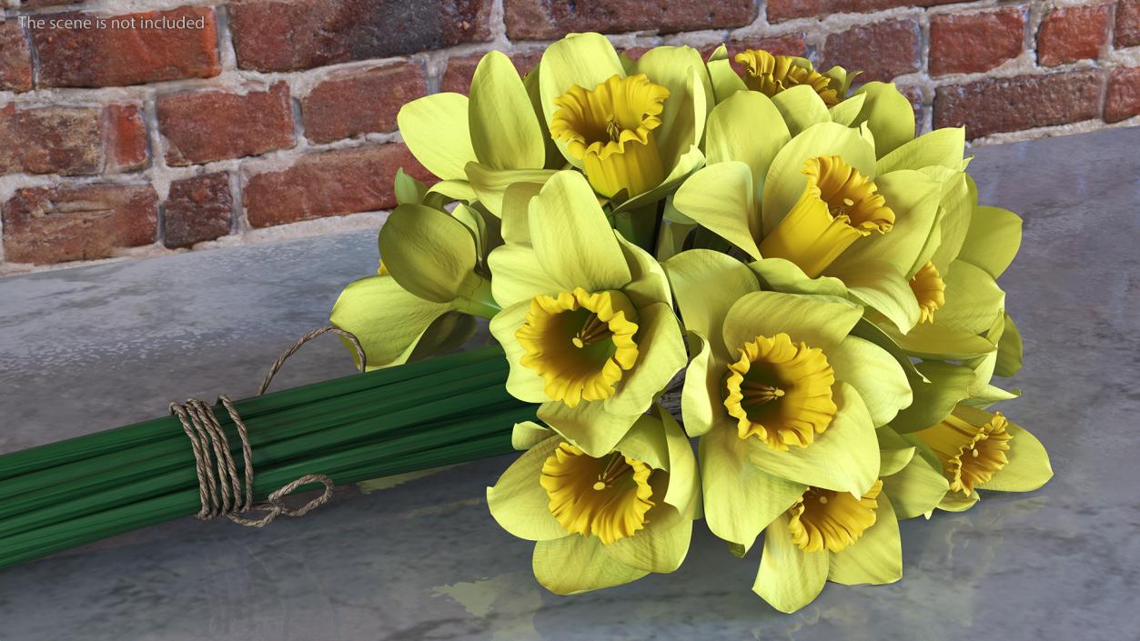 Daffodils Bouquet 3D