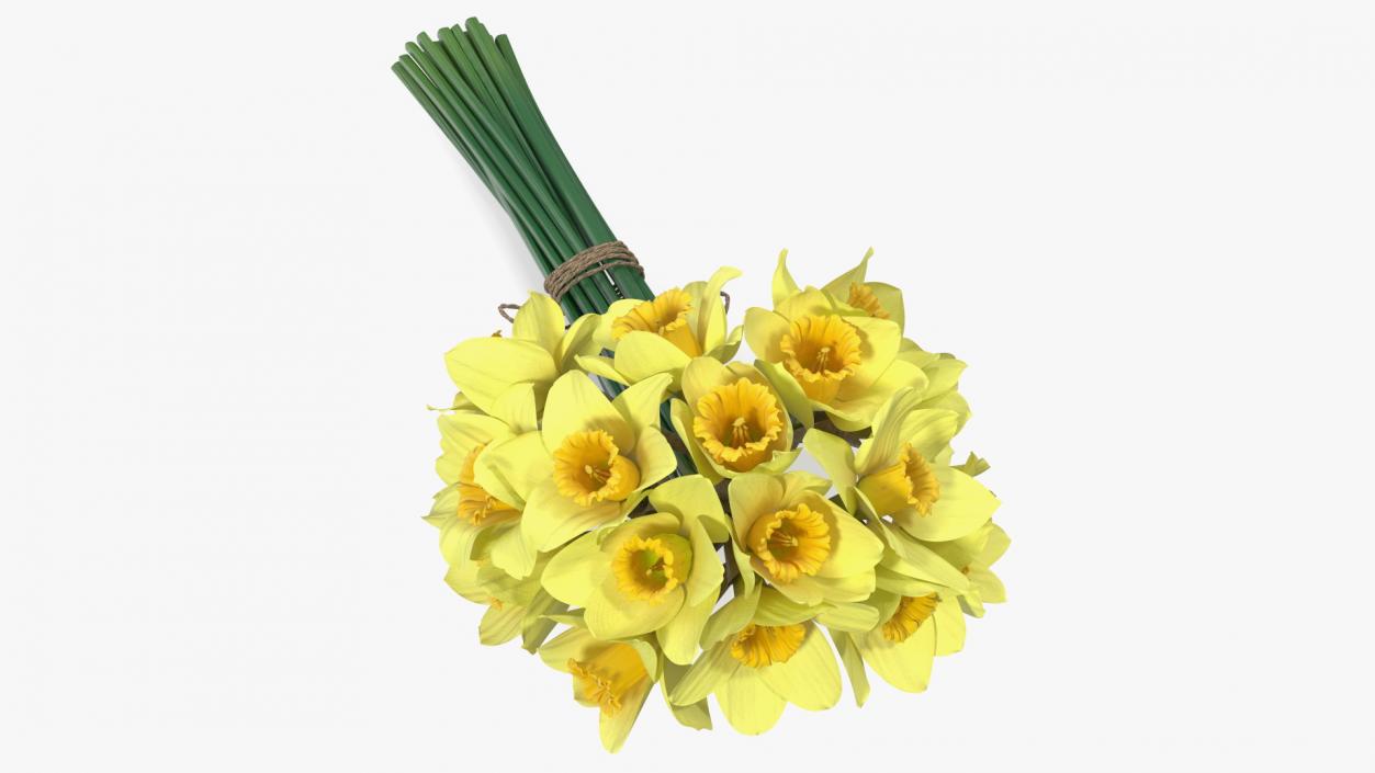 Daffodils Bouquet 3D