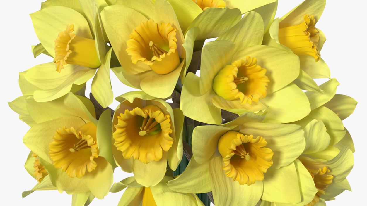 Daffodils Bouquet 3D