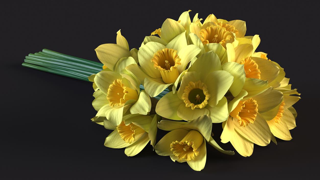 Daffodils Bouquet 3D