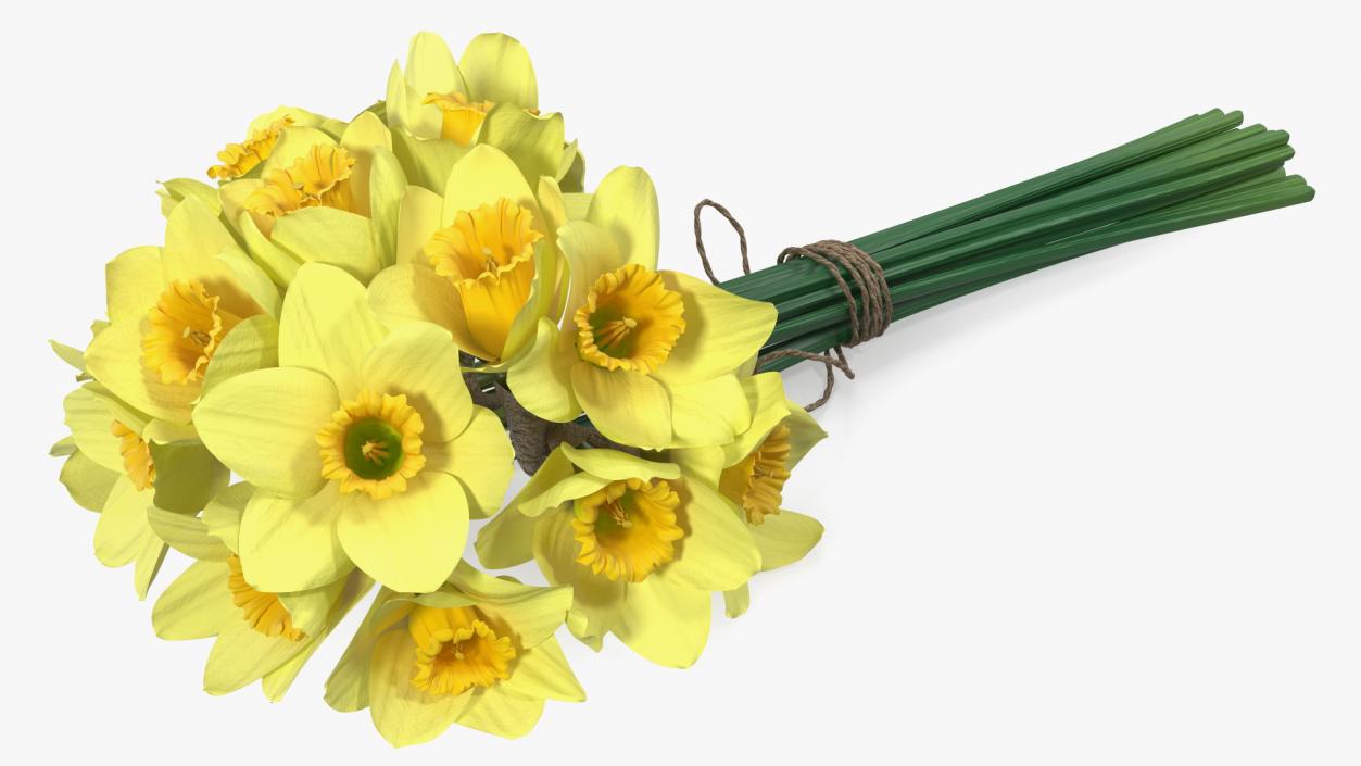 Daffodils Bouquet 3D