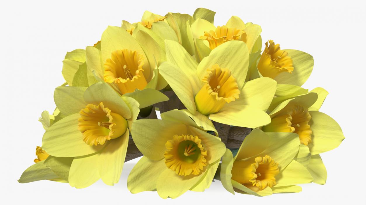 Daffodils Bouquet 3D