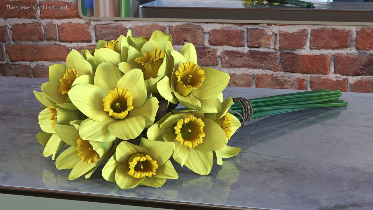 Daffodils Bouquet 3D