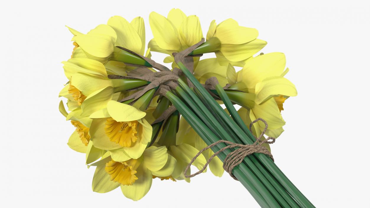 Daffodils Bouquet 3D