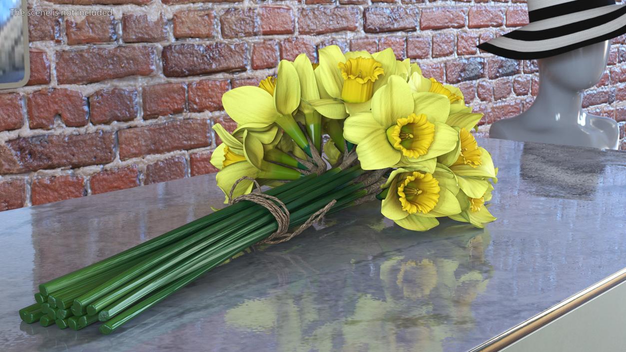 Daffodils Bouquet 3D