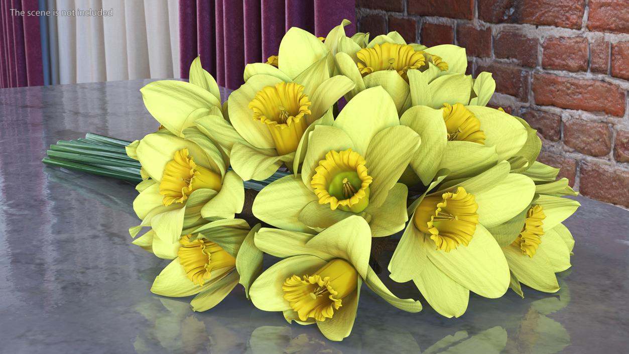 Daffodils Bouquet 3D