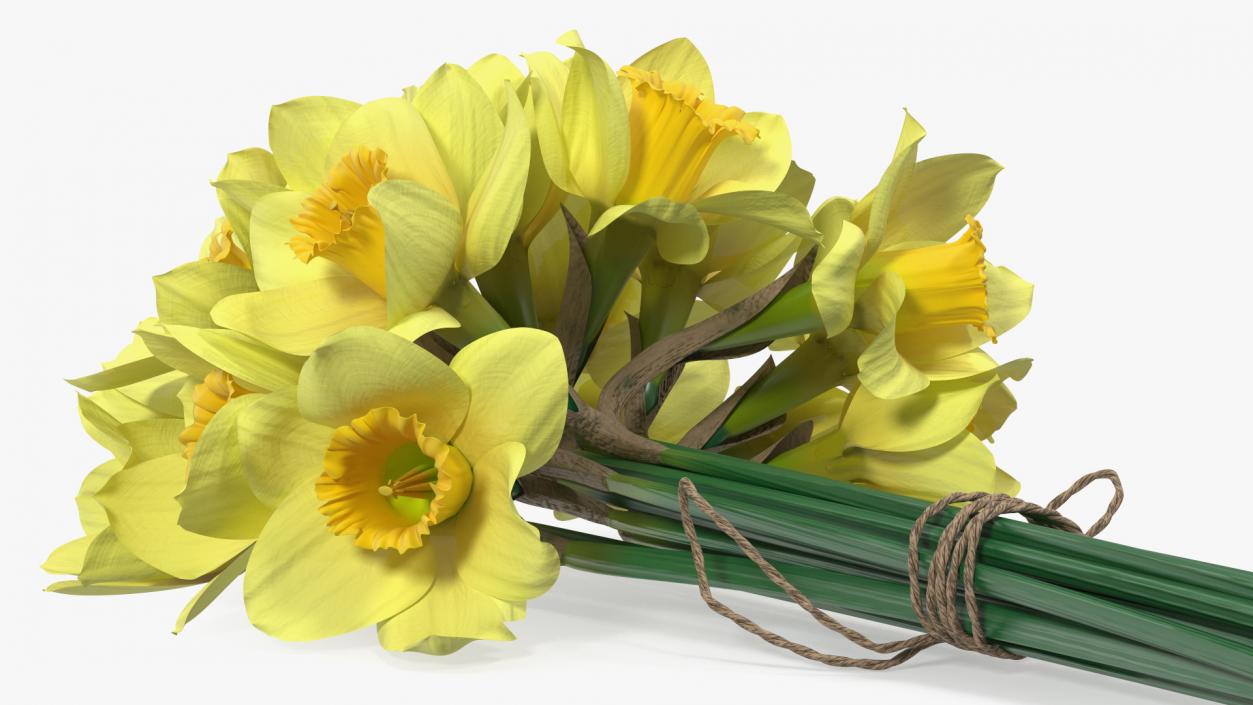 Daffodils Bouquet 3D