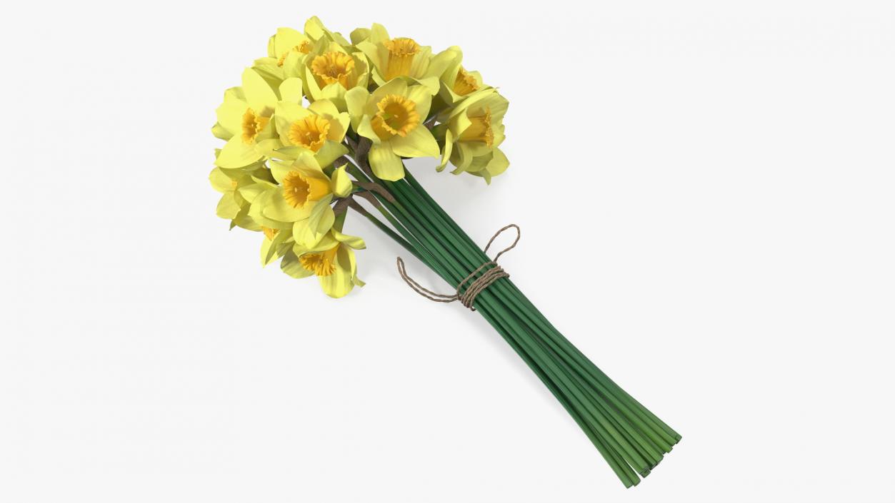 Daffodils Bouquet 3D