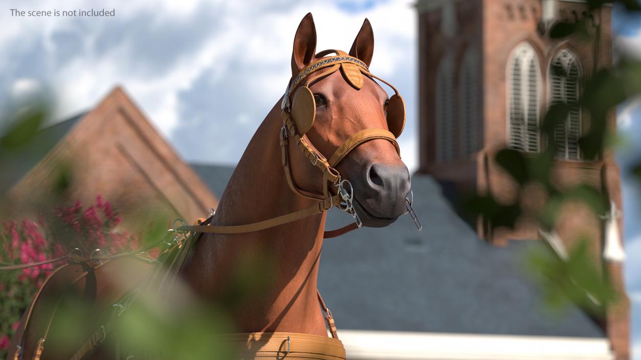 3D model Horse Drawn Leather Harness Walking Pose