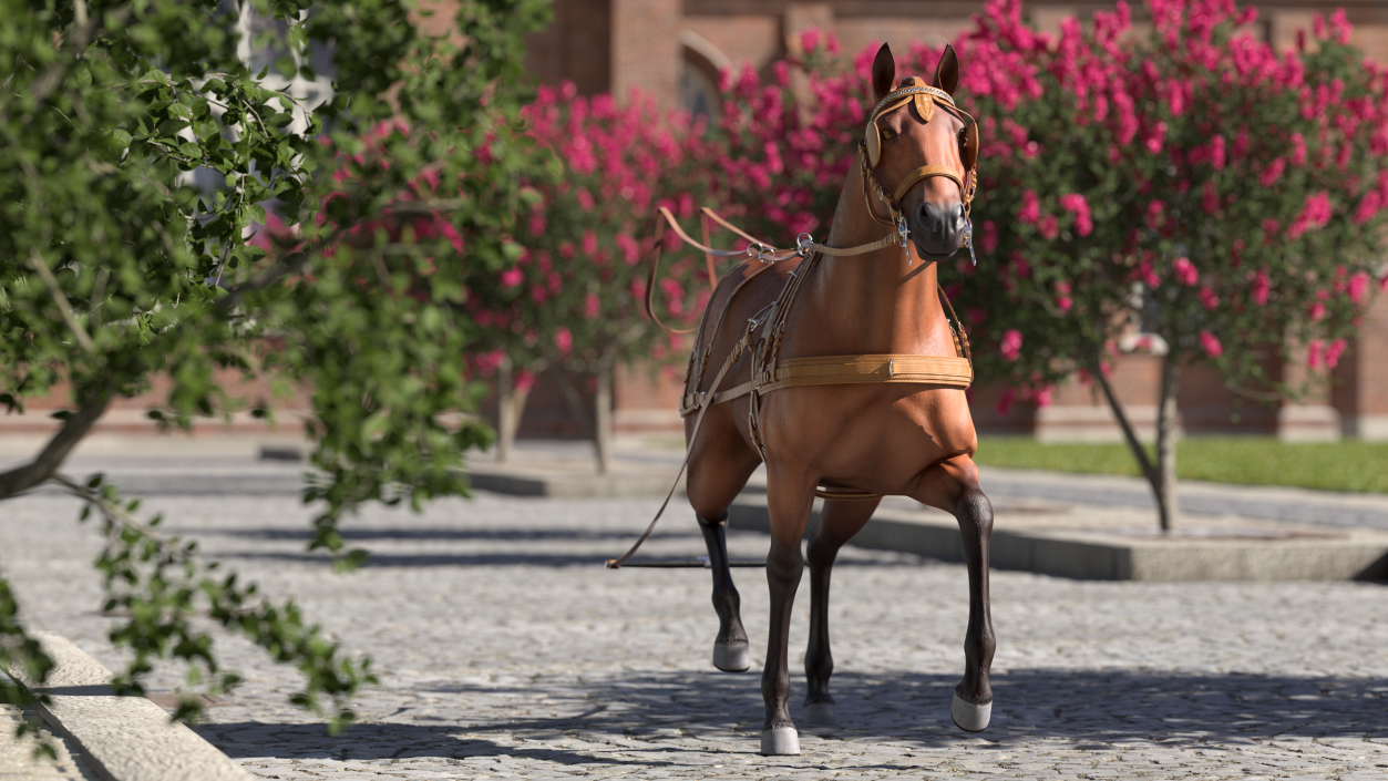 3D model Horse Drawn Leather Harness Walking Pose