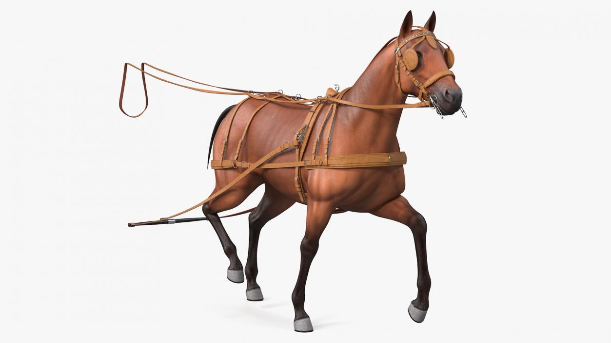 3D model Horse Drawn Leather Harness Walking Pose