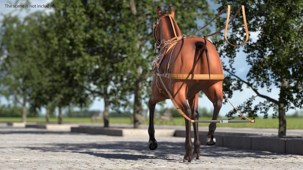 3D model Horse Drawn Leather Harness Walking Pose