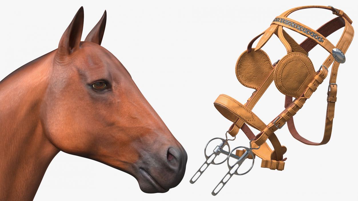 3D model Horse Drawn Leather Harness Walking Pose