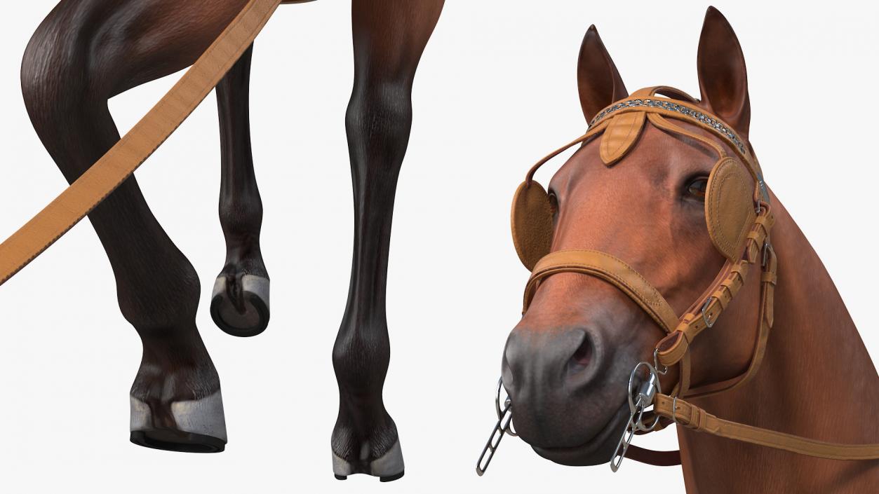 3D model Horse Drawn Leather Harness Walking Pose