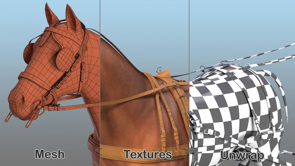 3D model Horse Drawn Leather Harness Walking Pose